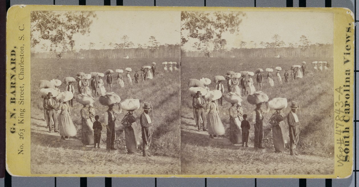 Návrat z bavlníkových polí v Jižní Karolíně (stereografie) od George N. Barnard