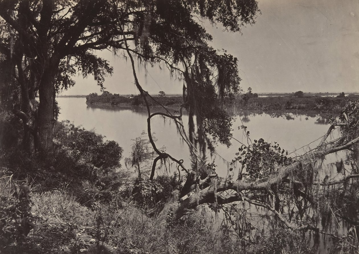 Řeka Savannah, poblíž Savannah, Georgia, 60. léta 19. století. od George N. Barnard