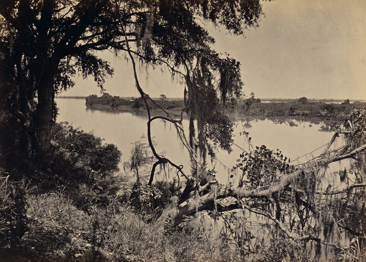 [Řeka Savannah, poblíž Savannah, Georgie] od George N. Barnard