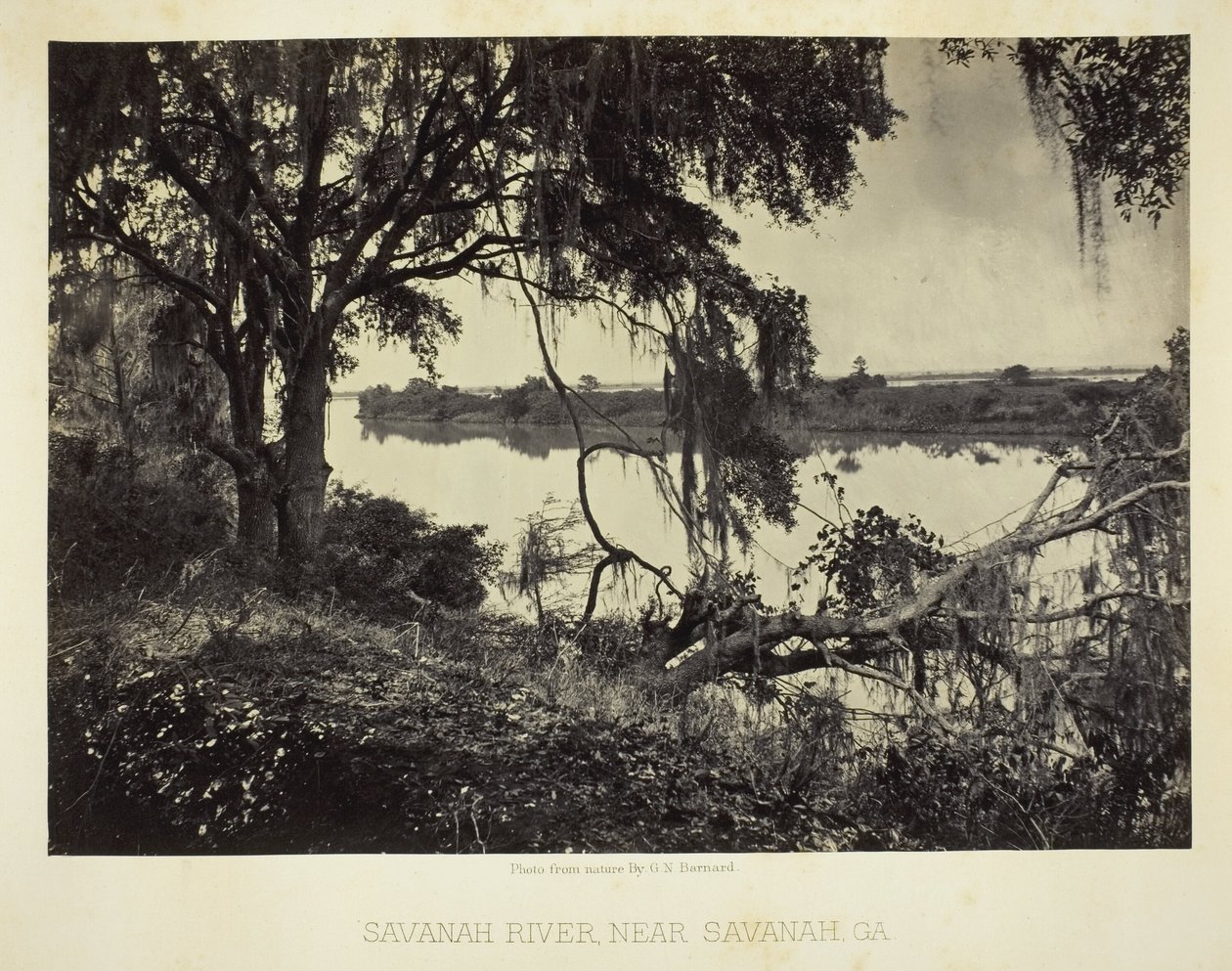 Řeka Savannah, poblíž Savannah, GA od George N. Barnard