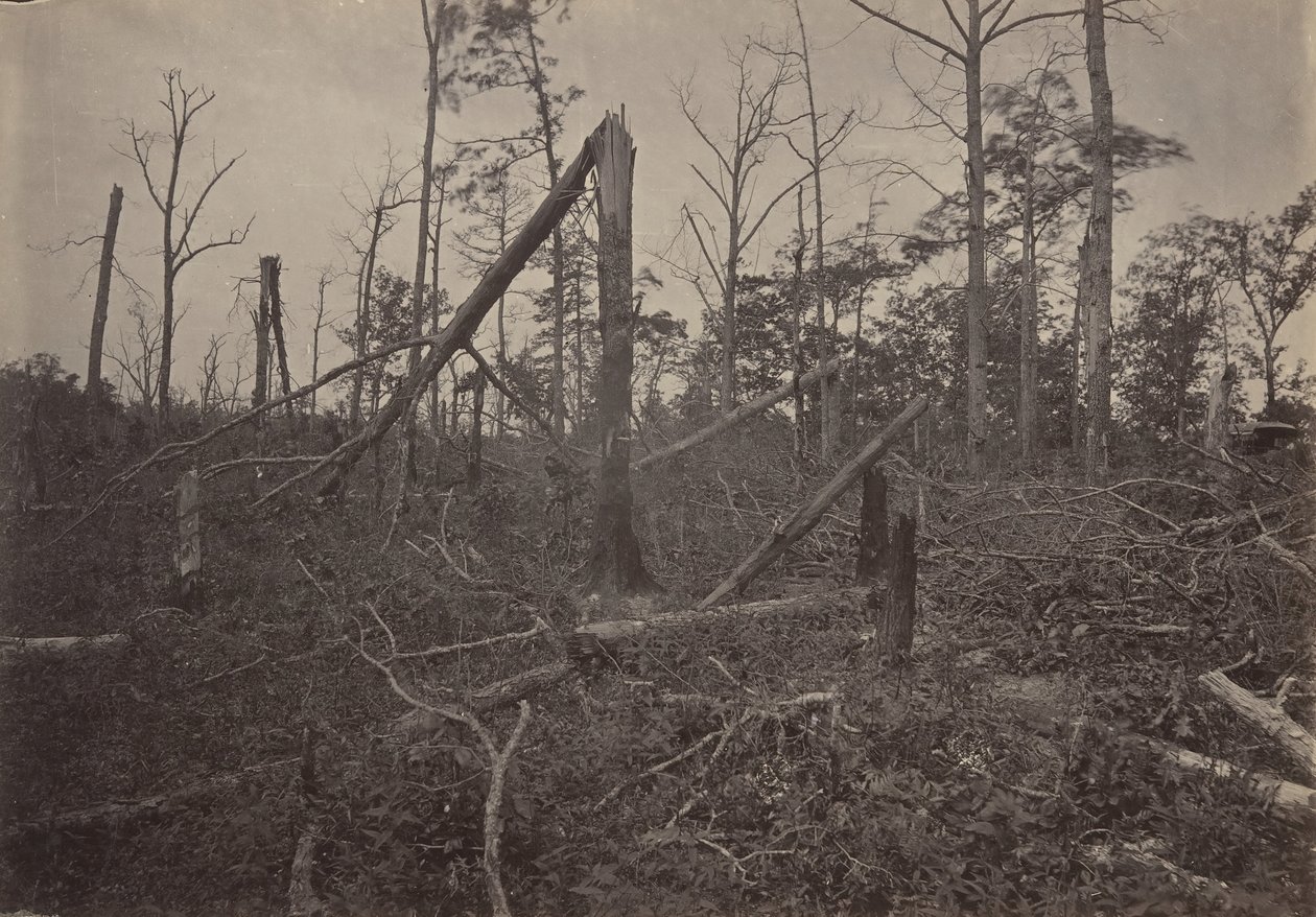The Hell Hole New Hope Church, Georgia, 1860s. od George N. Barnard