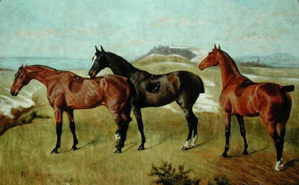 Tři koně: Whissendine, Swallow a Tiptop od George Paice