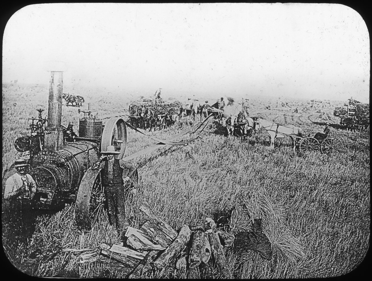 Scéna sklizně na severoamerických prériích, konec 19. nebo začátek 20. století od George Philip and Son Ltd