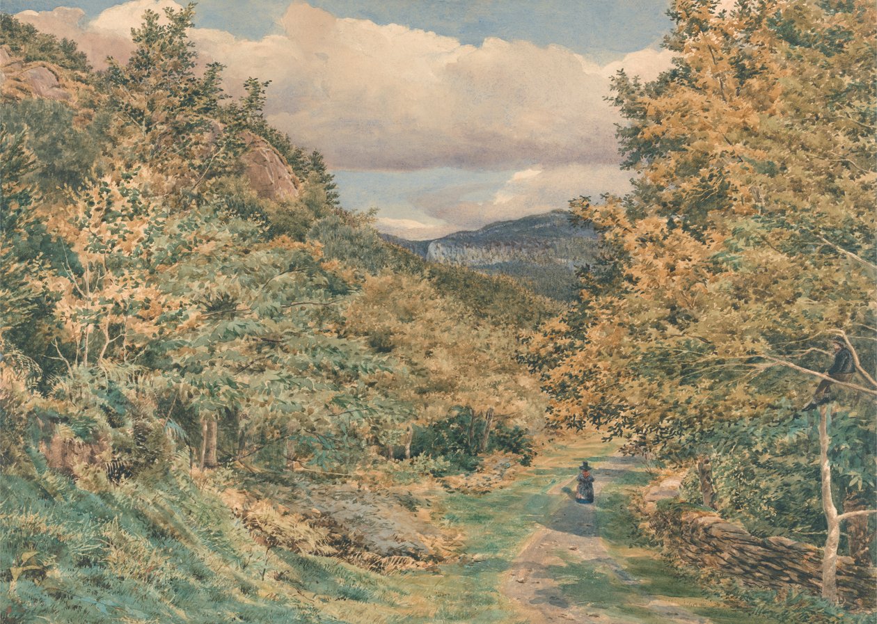 Cesta poblíž Bettws-y-Coed od George Price Boyce