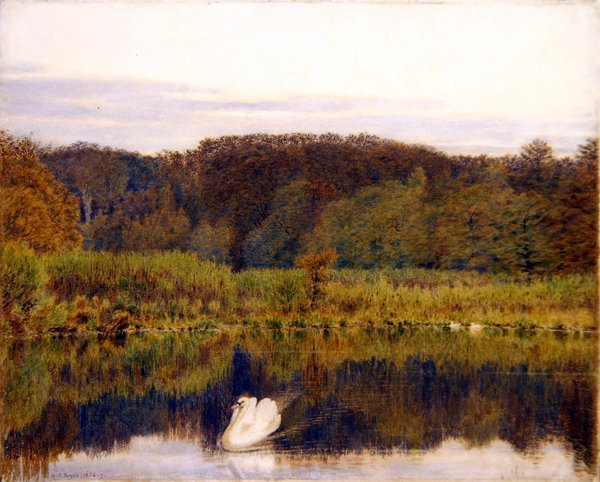 Abinger Mill Pond, Surrey - Ráno v pozdním podzimu (akvarel na papíře) od George Price Boyce