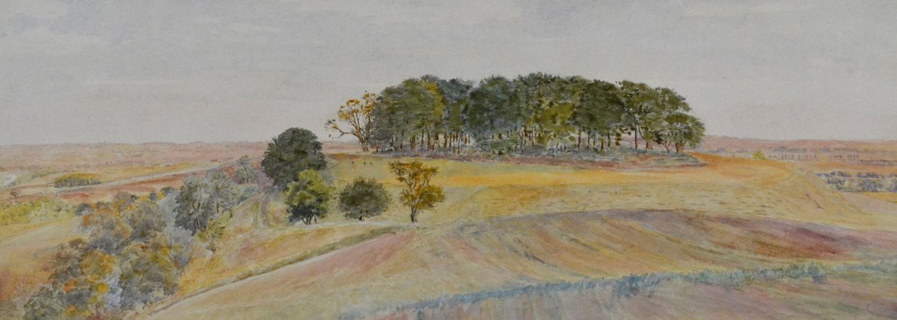 Jeden z Wittenham Clumps nebo Sinodun Hills, Berkshire, cca 1870-90 (akvarel) od George Price Boyce