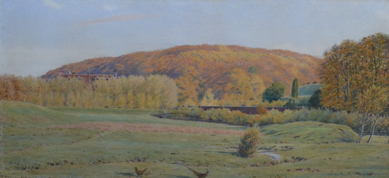 Wotton House, Surrey od George Price Boyce