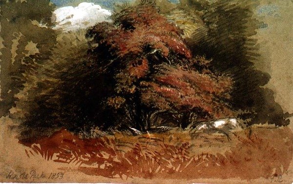 Park Knole od George Richmond