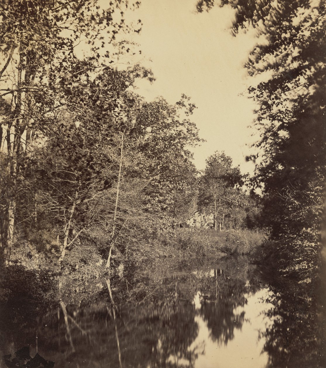 The Dell,1863 (foto) od George Rockwood Gardner