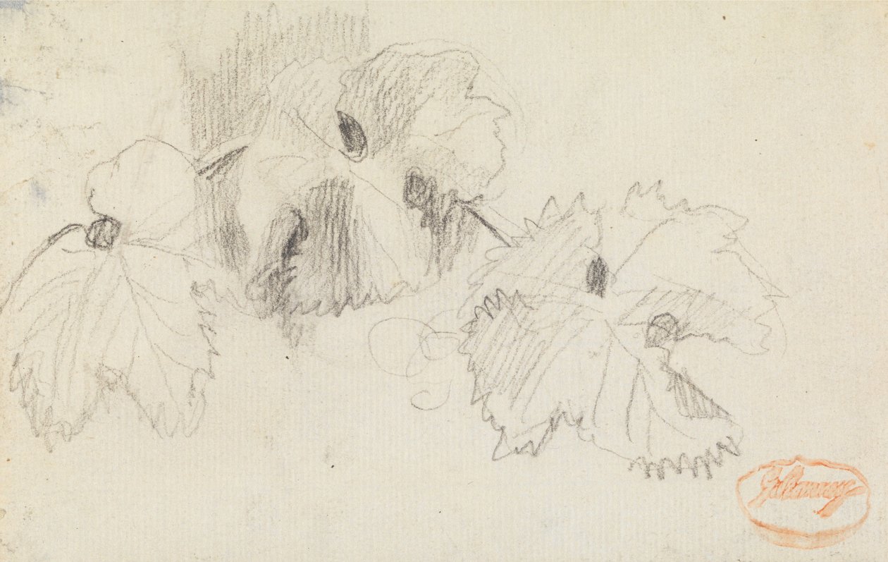Studie listů 1 od George Romney