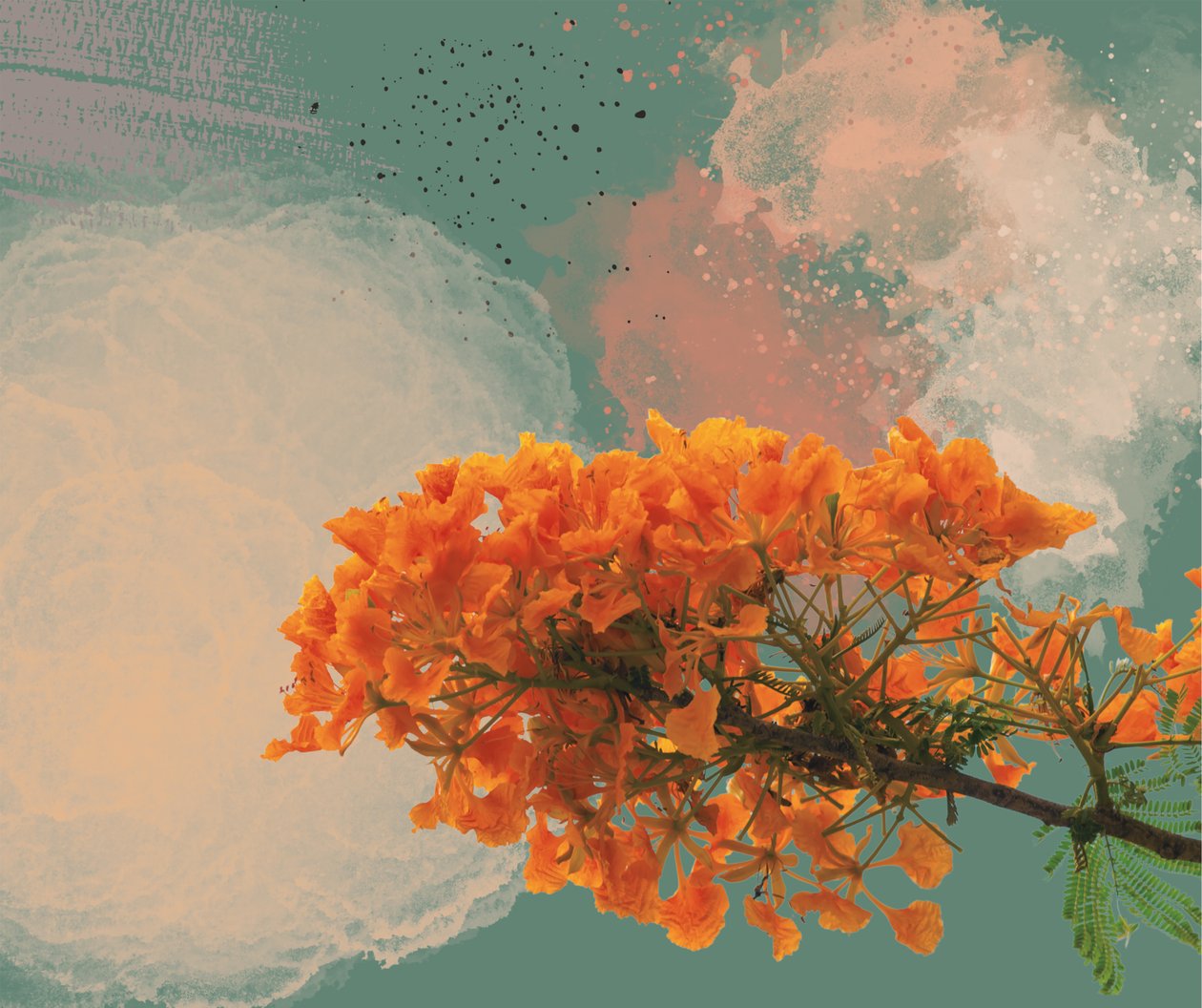 Royal Poinciana "El Flamboyan" (digitální) od George Rosaly