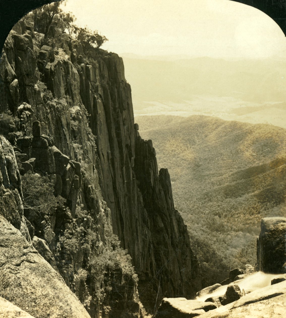 The North Side of the Gorge, Buffalo Ranges, Victoria, Austrálie, c1909. od George Rose