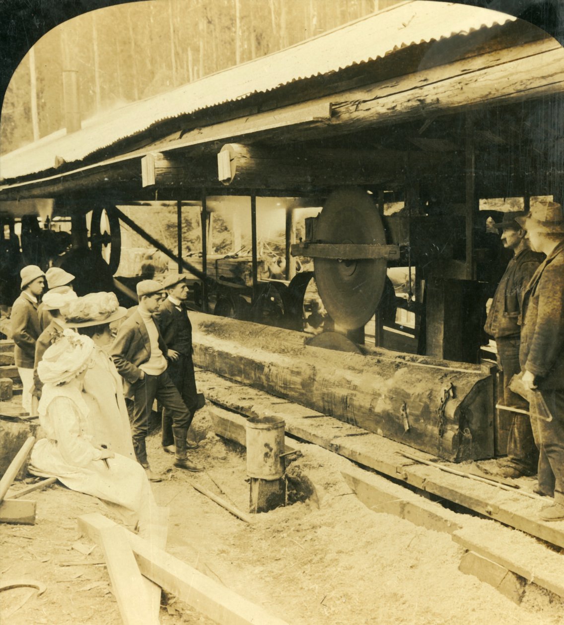 Dřevařský průmysl, Warburton, Victoria, Austrálie, 1909. od George Rose