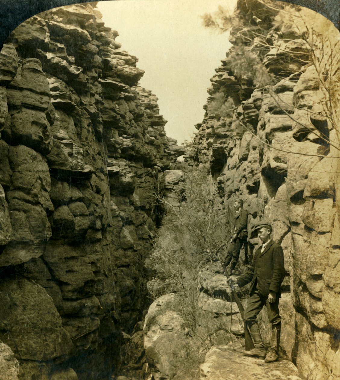 Wonderland Avenue, nebo Silent Street, Grampians, Victoria, Austrálie, 1908. od George Rose