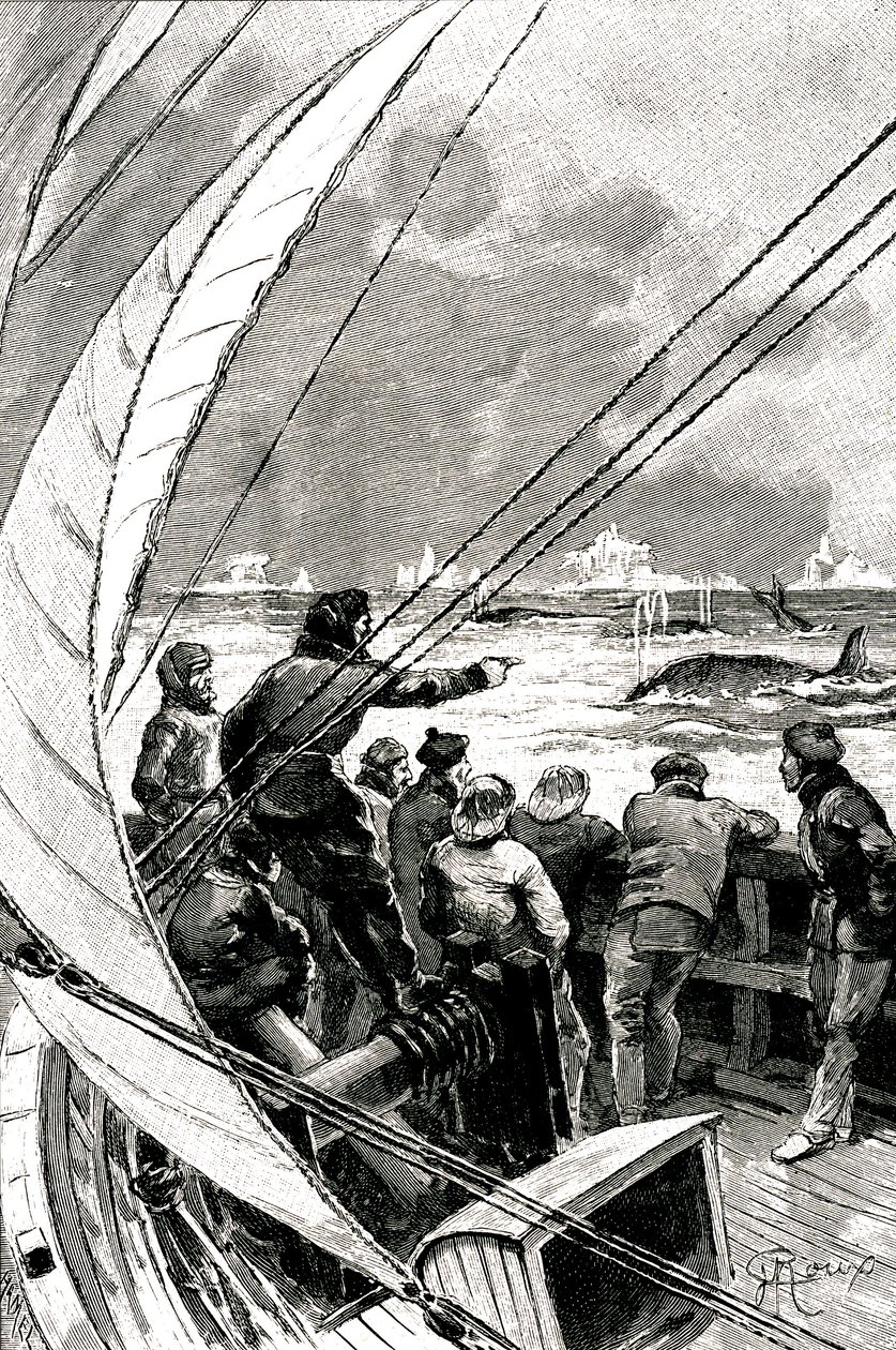 Na moři směrem k pólu: posádka lodi (plachetnice) vidí skupinu velryb. Ilustrace románu Julese Verna (1828-1905) "" Ledová sfinga "" od George Roux