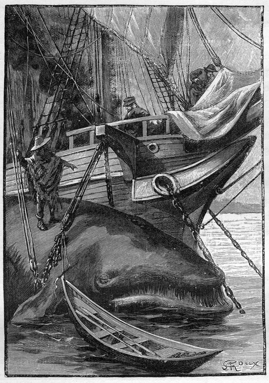 Román Julese Verna "Les histoires de Jean-Marie Cabidoulin" (1901), Hetzel Collection/Extraordiaires, ilustrace George Roux. "Velryba přikotvená k velrybářské lodi" od George Roux