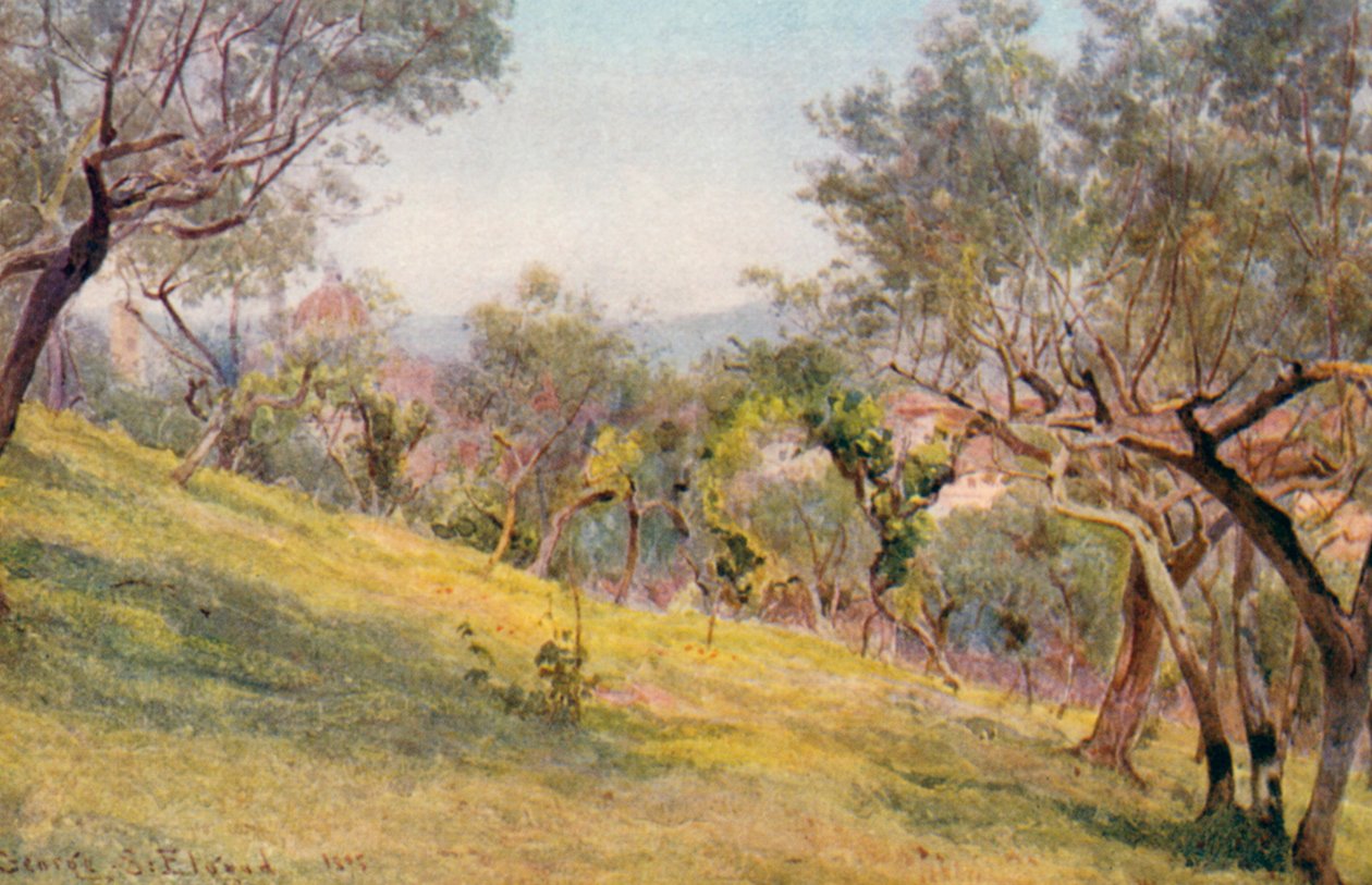 Přes olivy, Florencie (barevná litografie) od George Samuel Elgood
