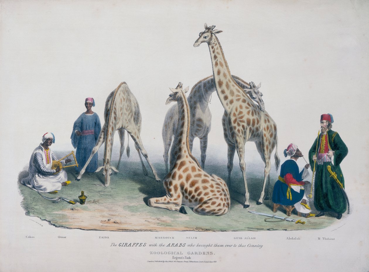 Zoologická zahrada, Regent