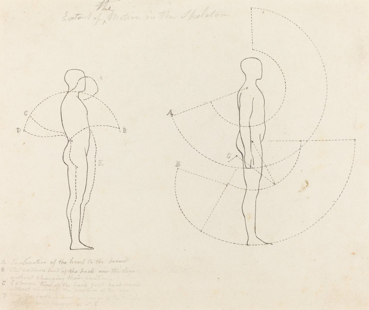 Rozsah pohybu znázorněn na dvou obrázcích od George Scharf after John Flaxman