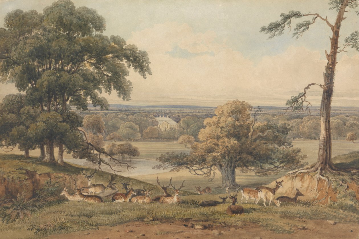 Pohled do dálky na Ampthill Park od George Shepherd