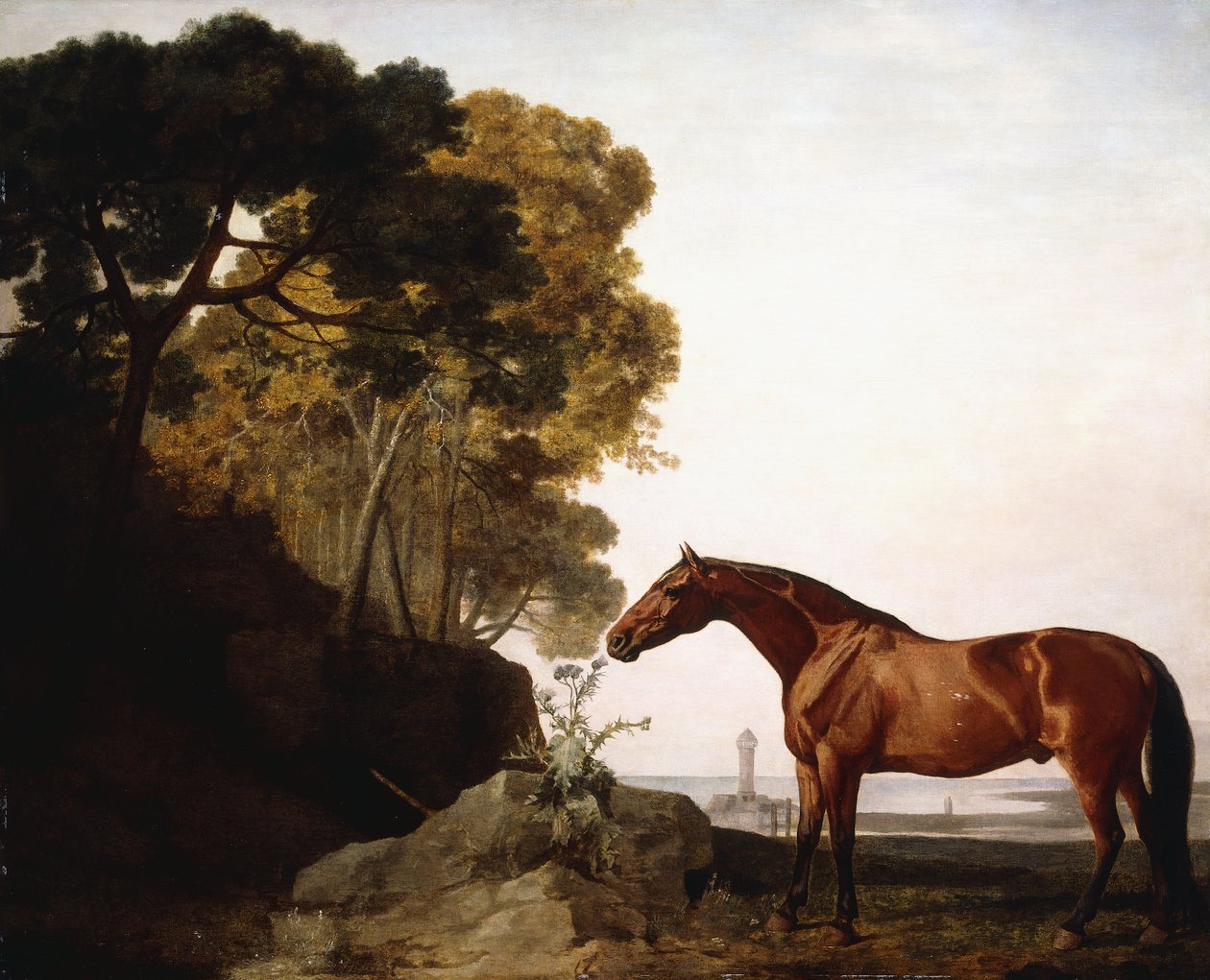 Arab Bay v pobřežní krajině, 1779 od George Stubbs