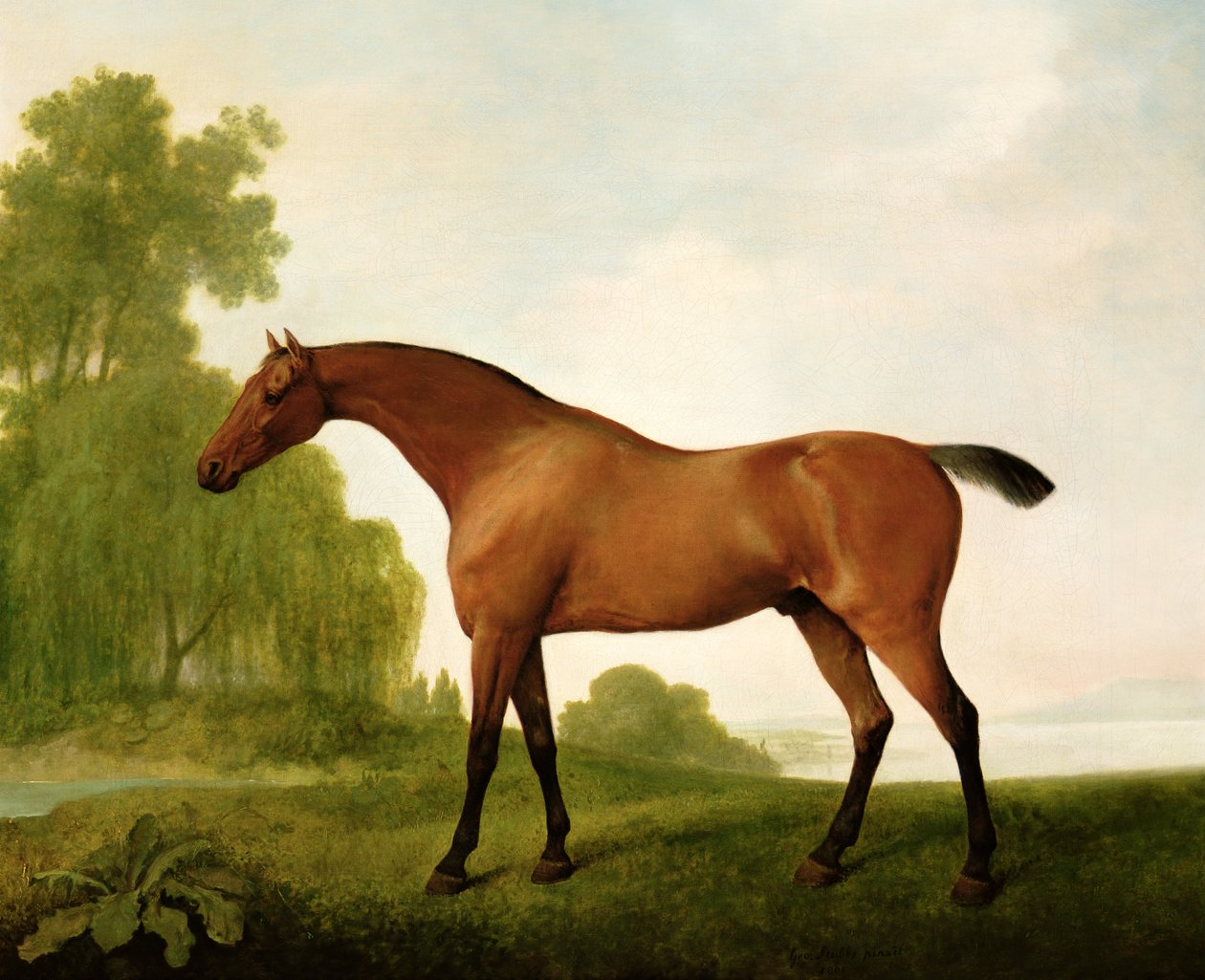 Bay plnokrevník v krajině od George Stubbs