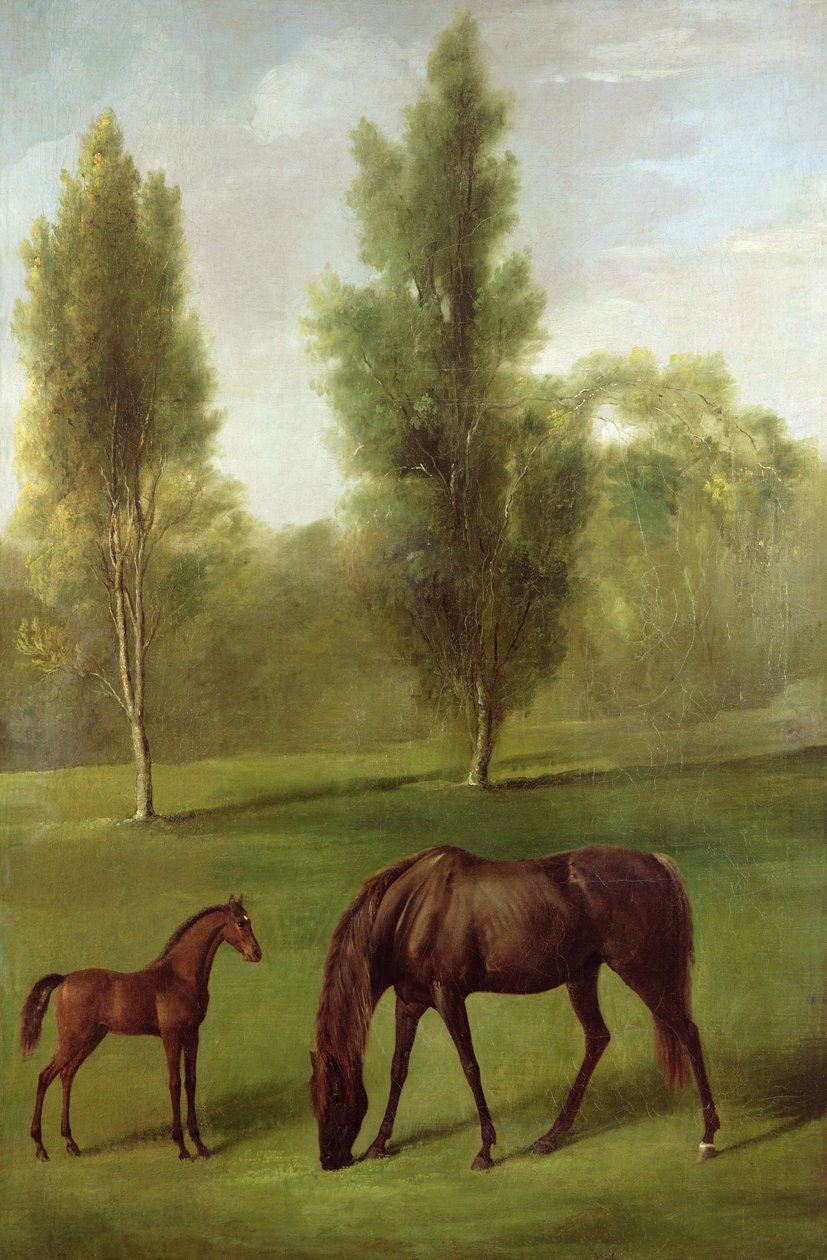Kaštanová klisna a hříbě v zalesněné krajině, kolem 1761-63 (olej na plátně) od George Stubbs