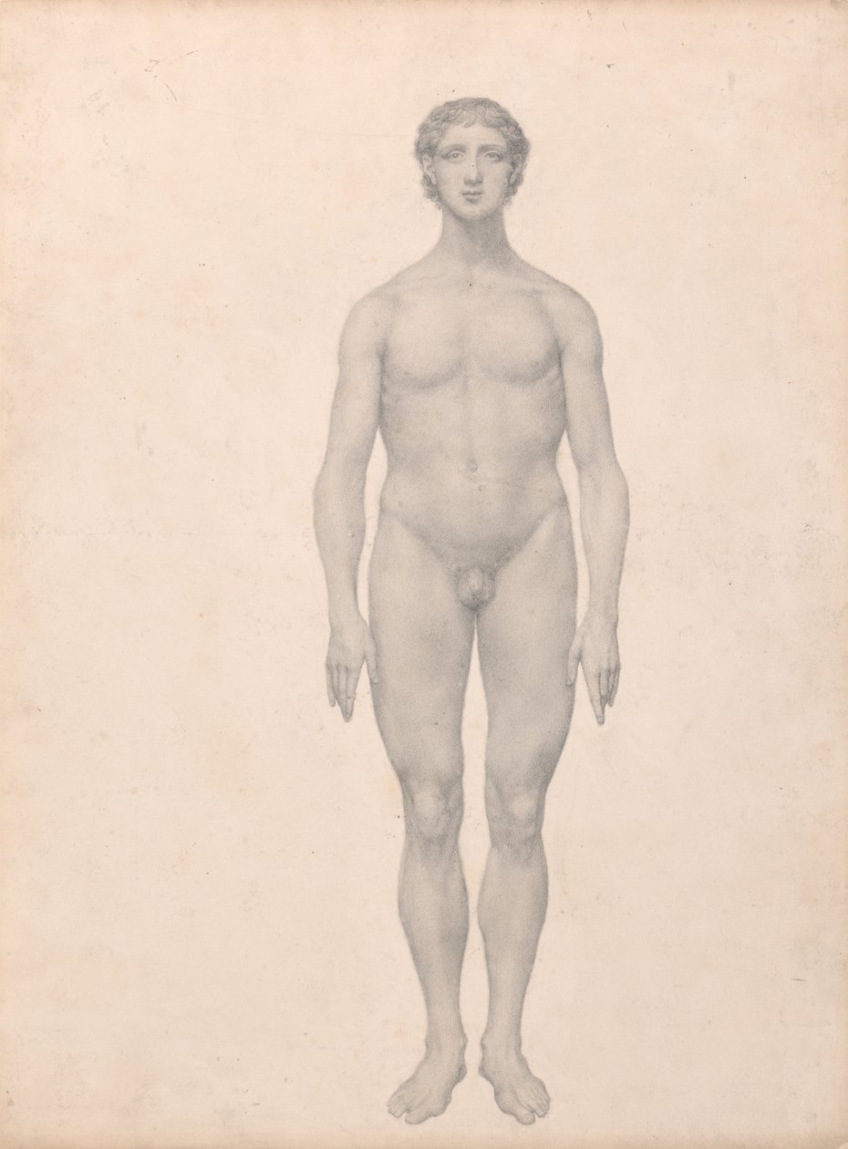 Srovnávací anatomický výklad stavby lidského těla s tělem tygra a běžné drůbeže:  (Dokončená studie k tabulce VI) od George Stubbs