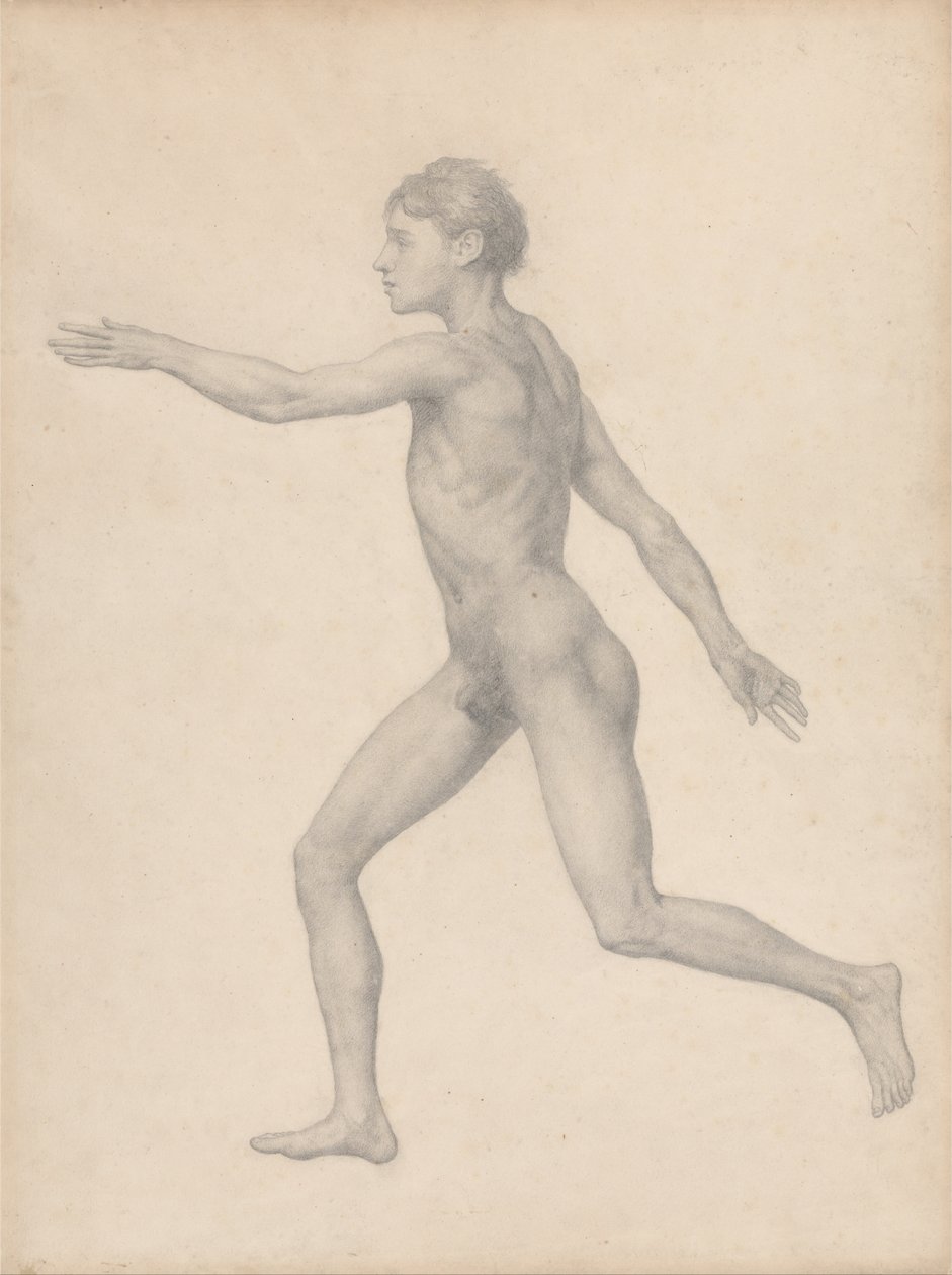 Srovnávací anatomický výklad stavby lidského těla s tělem tygra a běžné drůbeže: (Dokončená studie k tabulce VIII) od George Stubbs