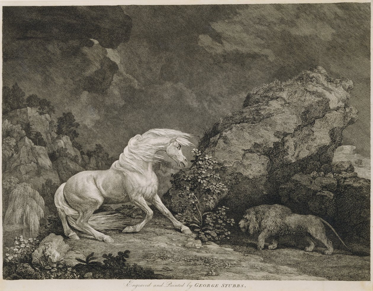 Kůň vystrašený lvem, vyryto umělcem od George Stubbs