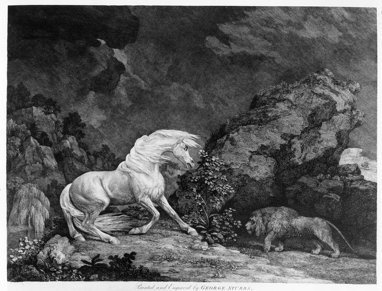 Kůň vyděšený lvem, vyryto umělcem, 1777 od George Stubbs