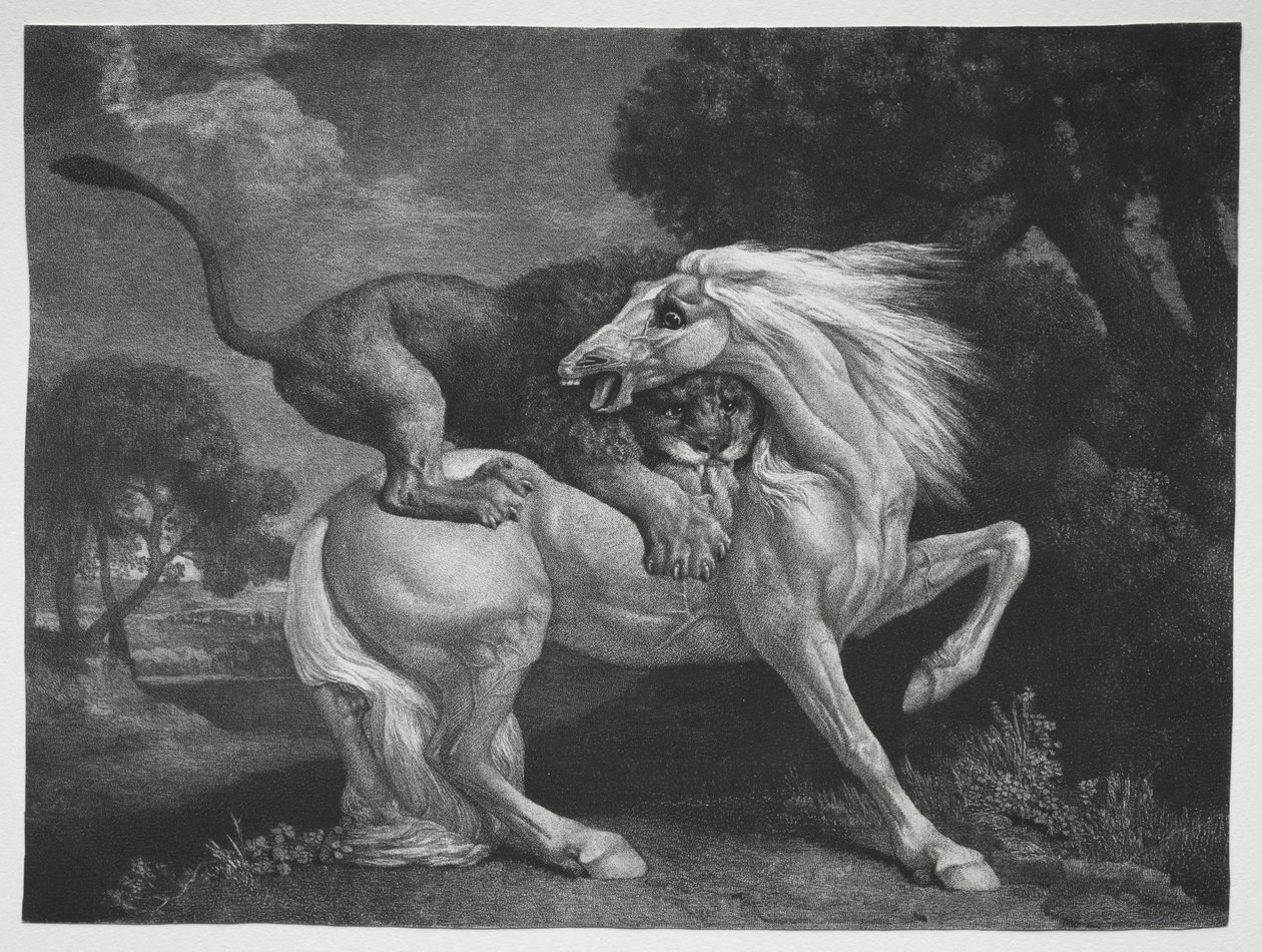 Kůň napaden lvem od George Stubbs