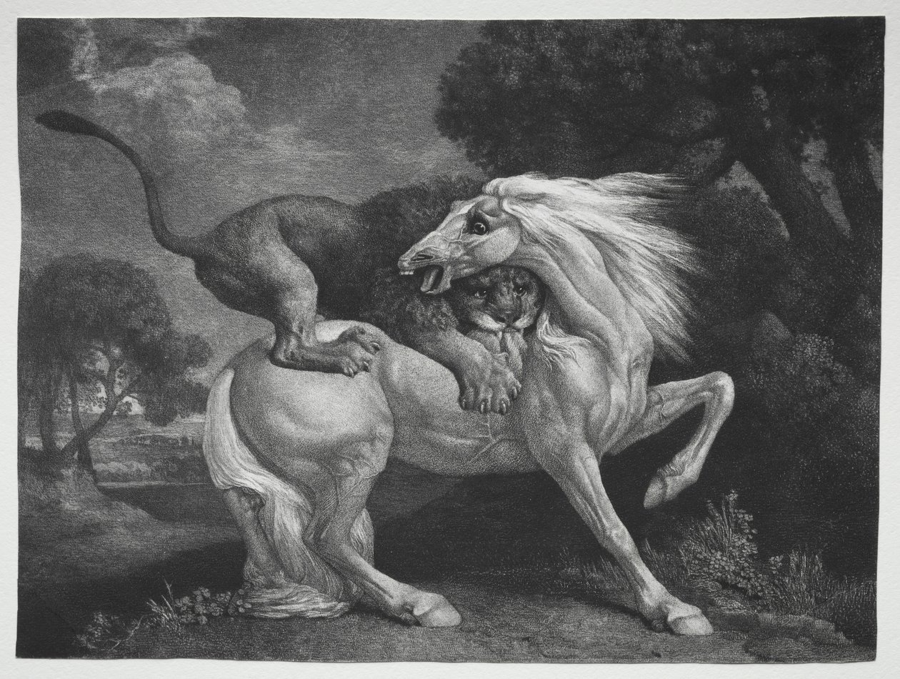 Kůň napaden lvem, 1788. od George Stubbs