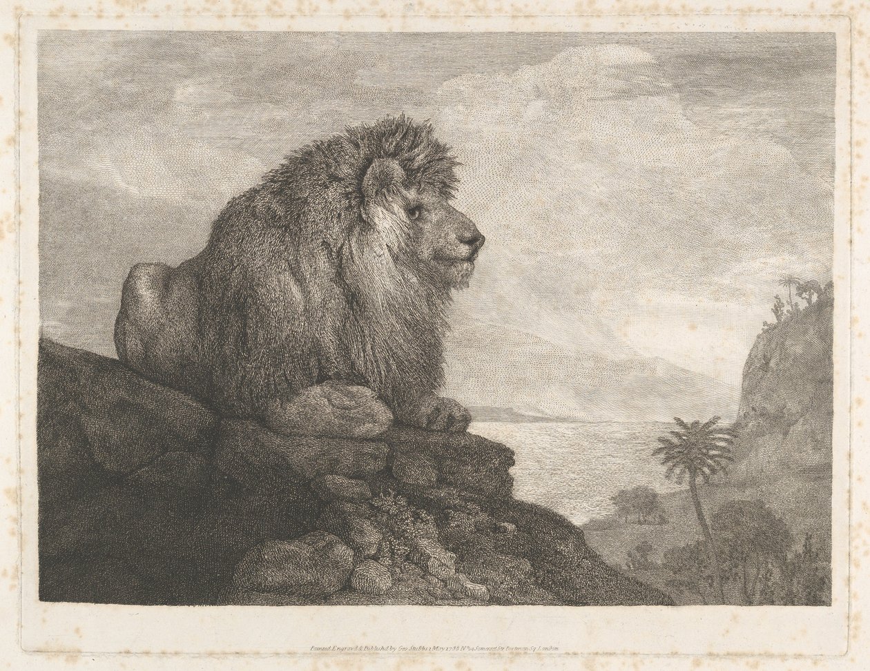 Lev (lev odpočívající na skále) od George Stubbs