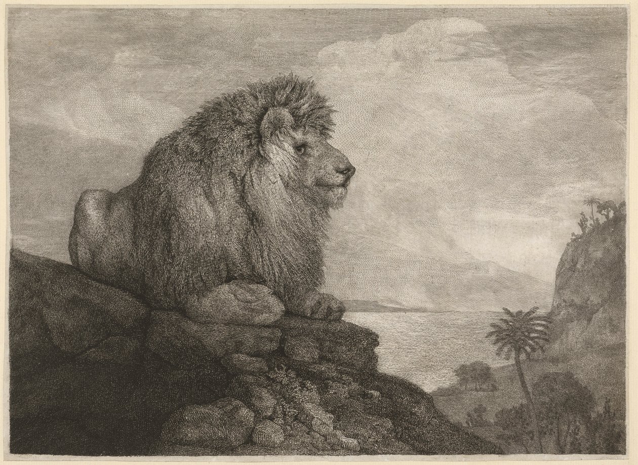 A Lion (Lion Resting on a Rock) vyrytý umělcem od George Stubbs