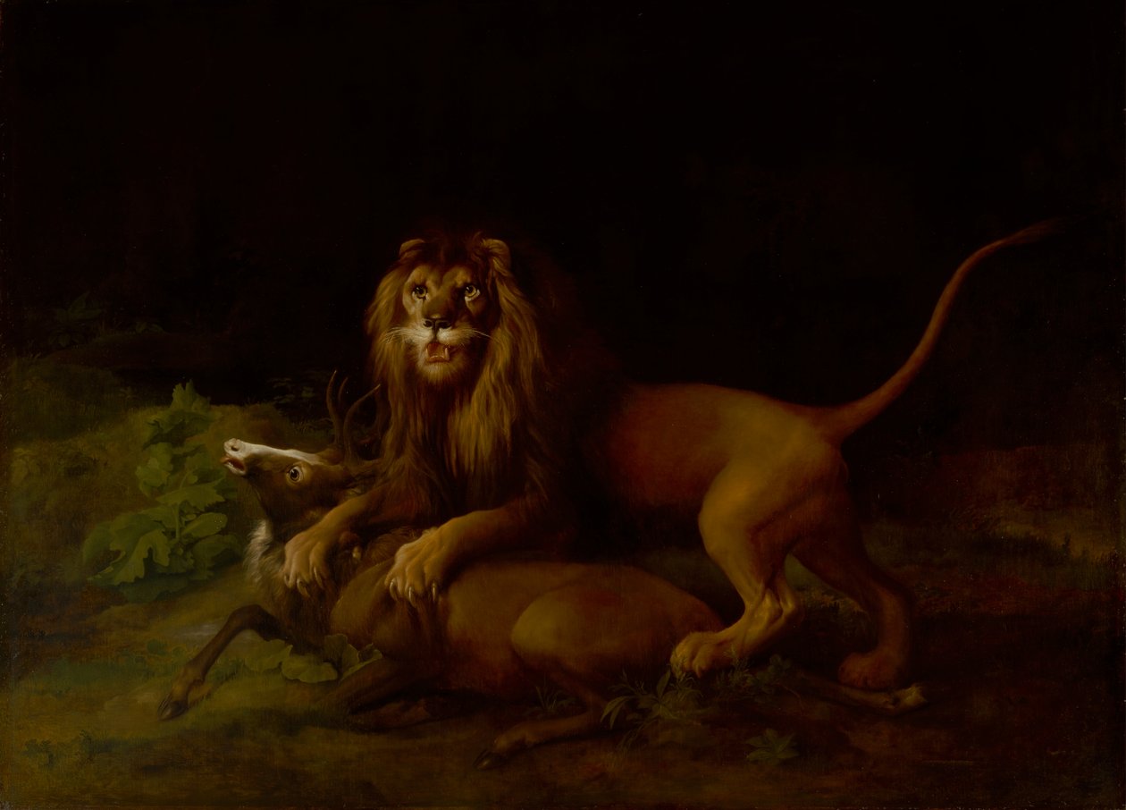 Lev útočí na jelena, mezi 1765 a 1766. od George Stubbs
