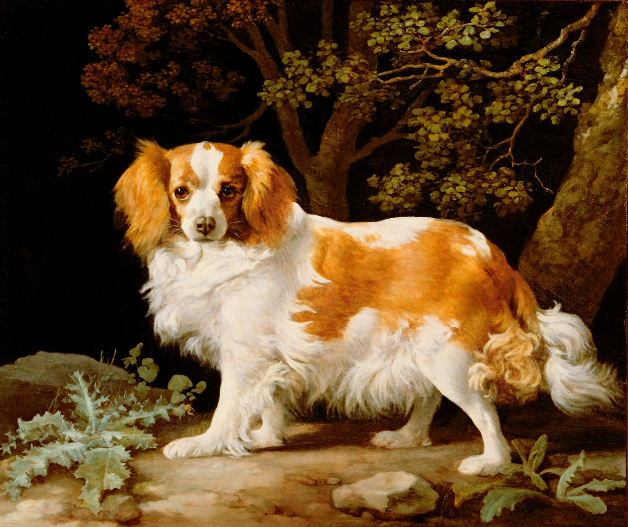 Játra a bílý španěl King Charles v zalesněné krajině od George Stubbs