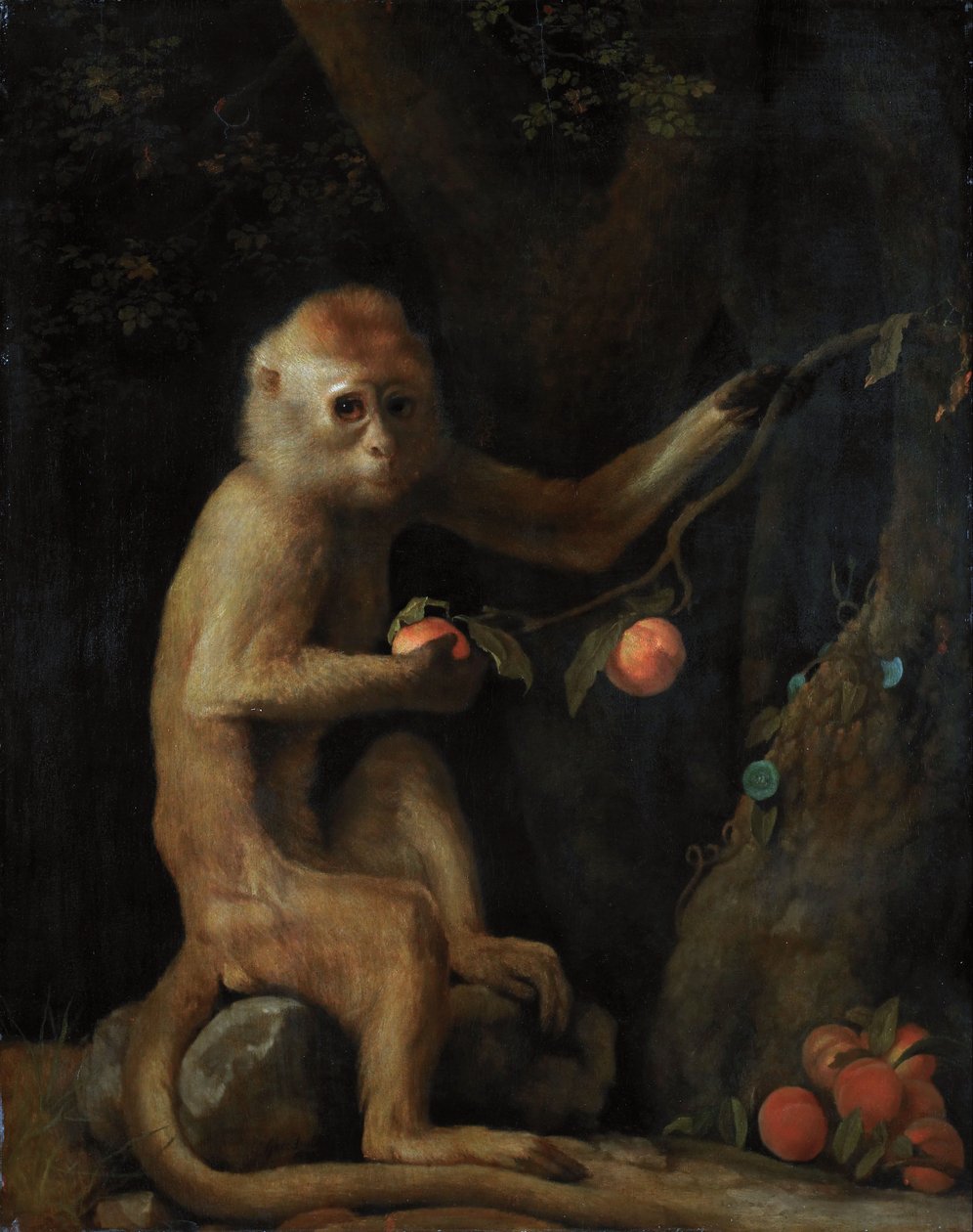 Opice od George Stubbs