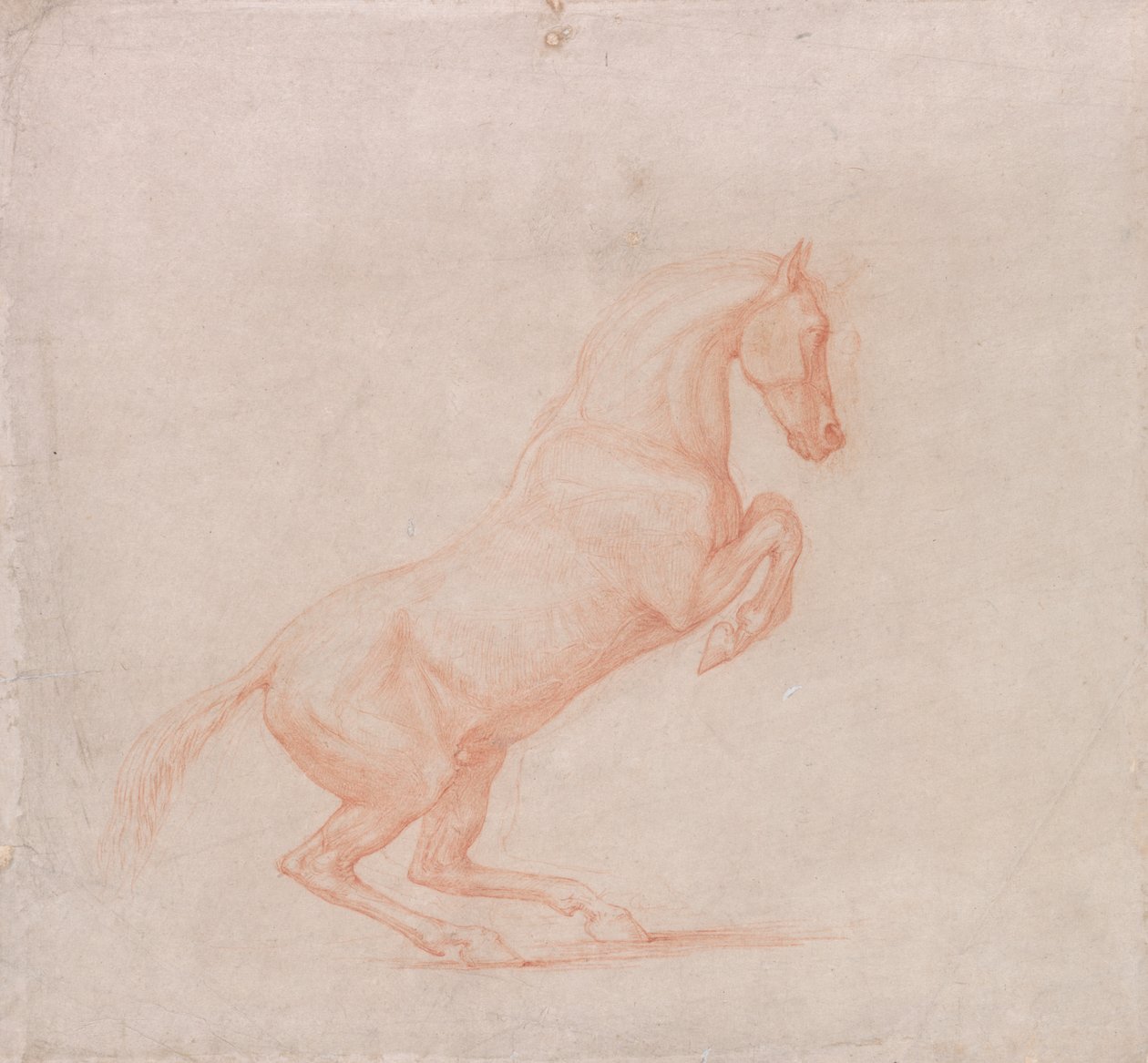 Vzpínající se kůň, čelem doprava od George Stubbs