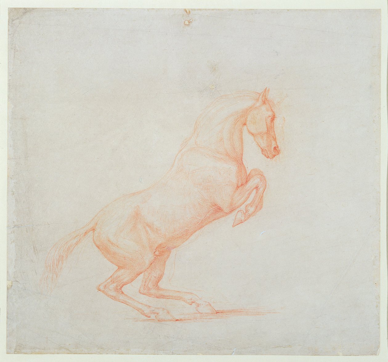 Tažný kůň, obrácený vpravo, 1790 (červená křída na papíře) od George Stubbs