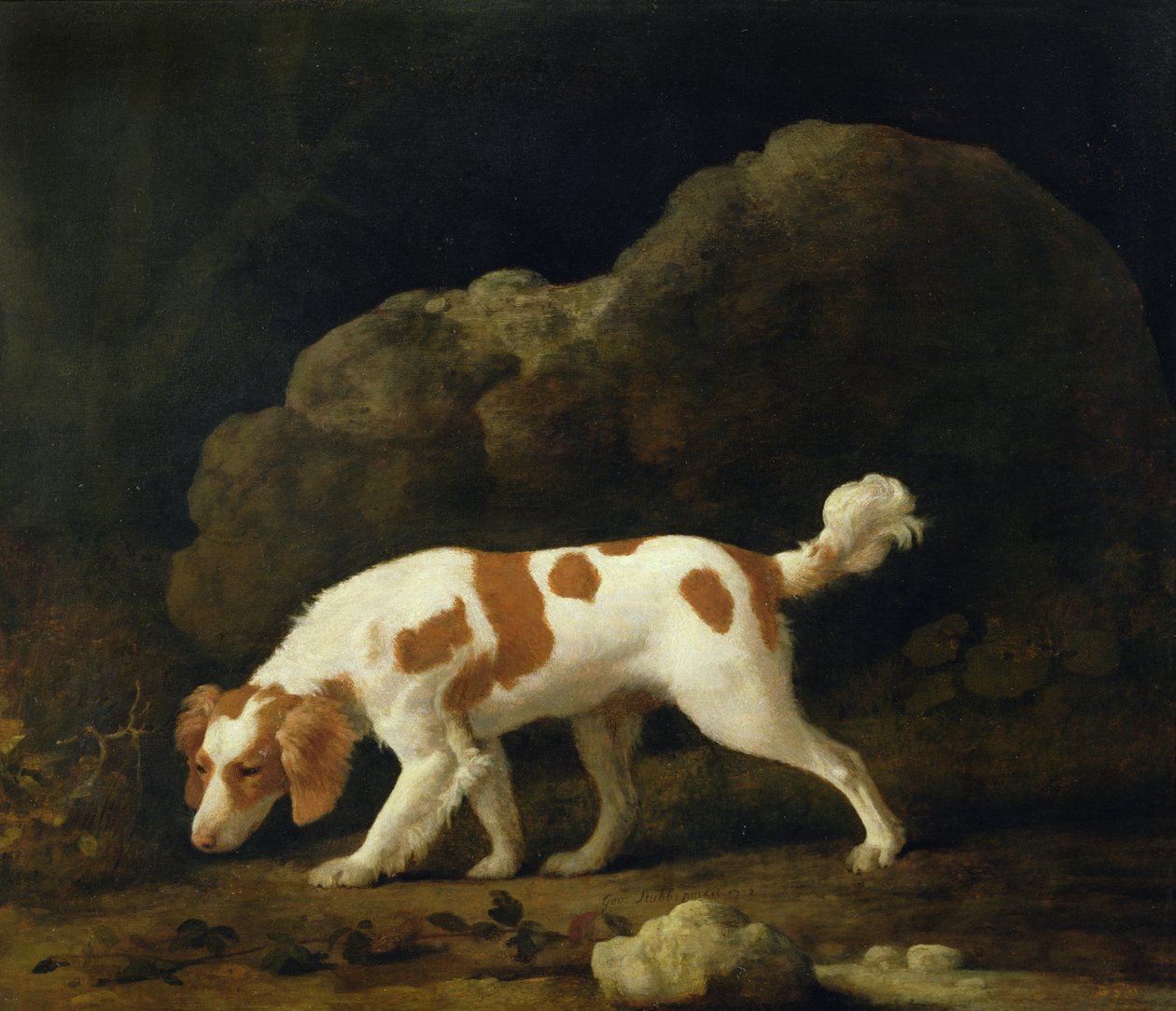 Španěl (olej na plátně) (pár viz 266116) od George Stubbs