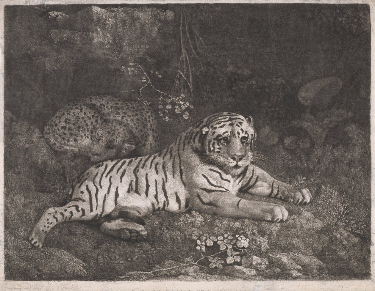 Tygr a spící leopard od George Stubbs