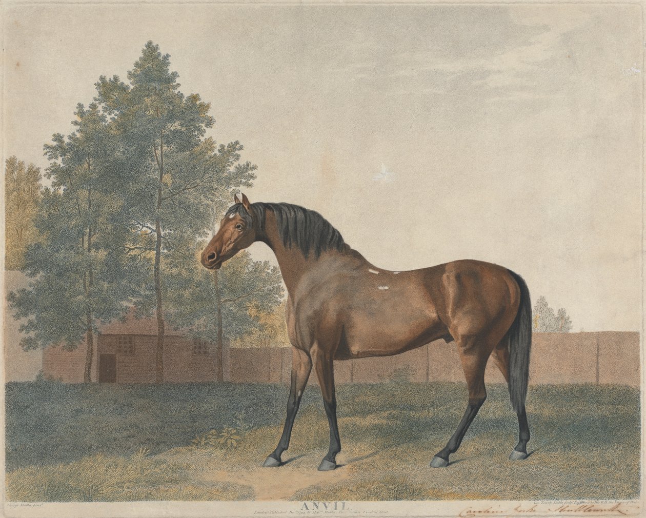 "Kovadlina" od George Stubbs