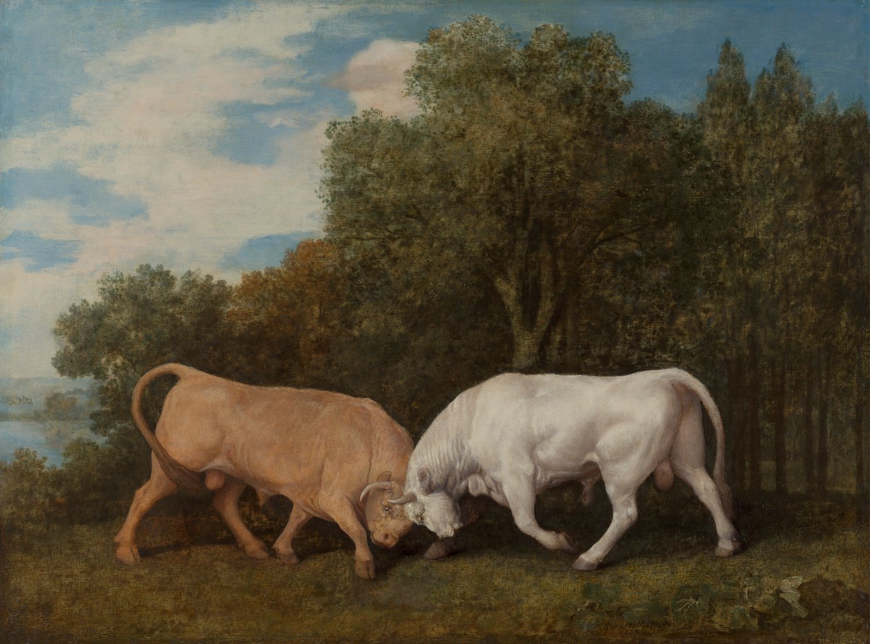 Býci bojují od George Stubbs