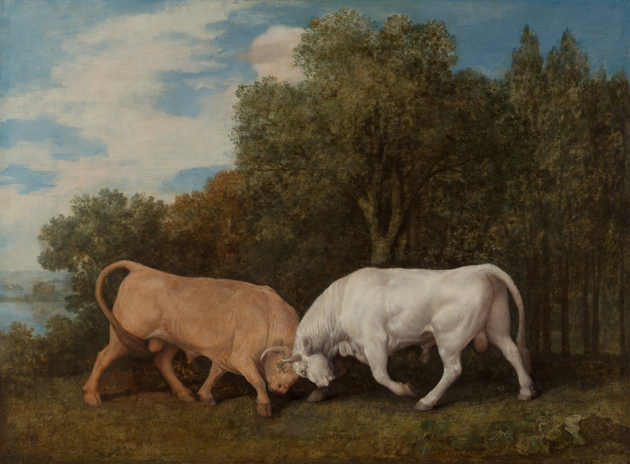 Býčí zápasy, 1786. od George Stubbs