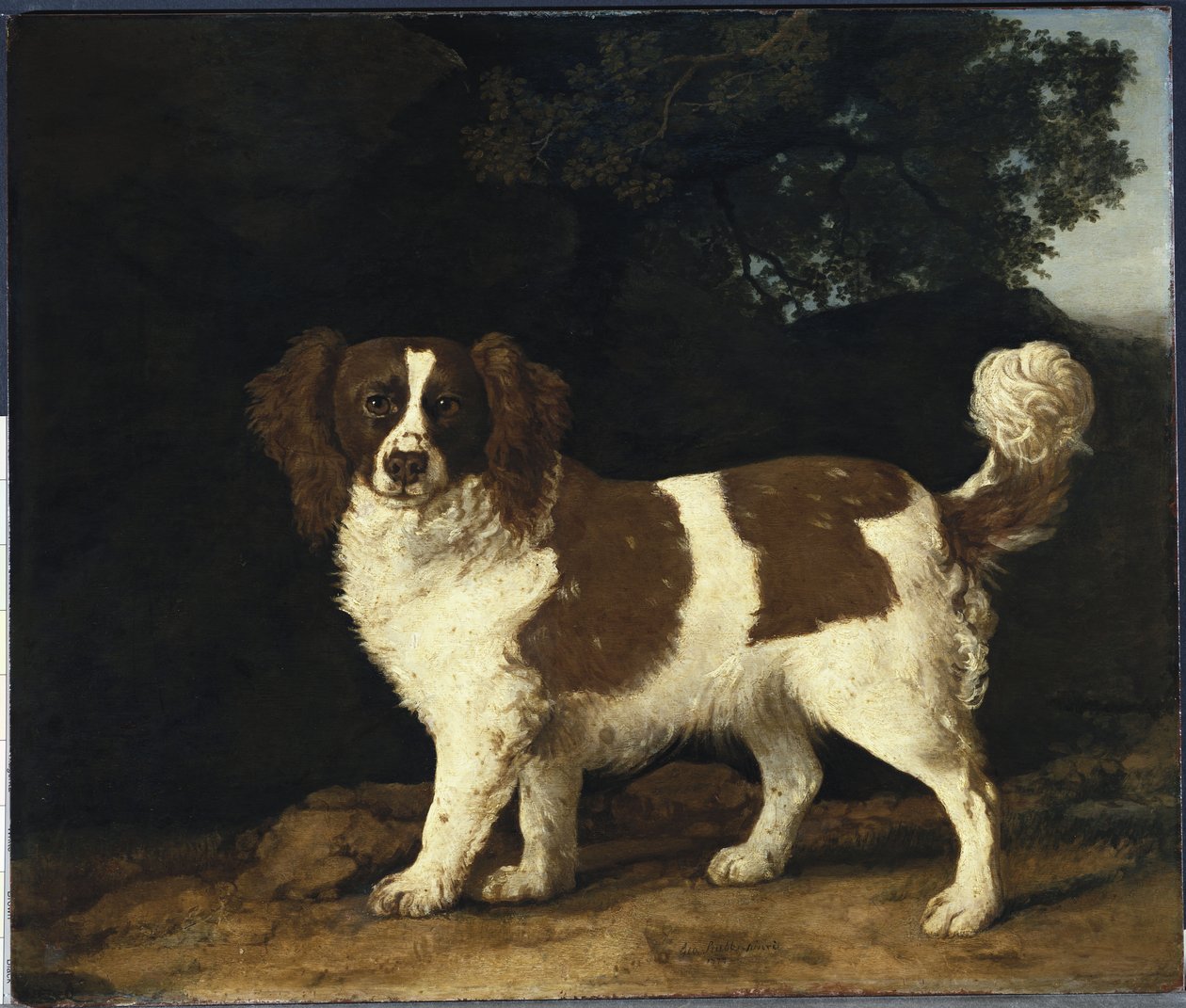 Fanny, oblíbená španělka paní Musstersové, stojící v zalesněné krajině, 1777 od George Stubbs