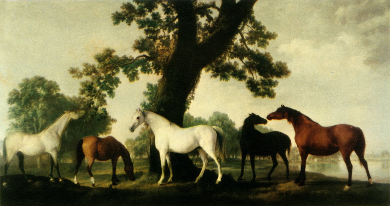„Pět chovných klisen v hřebčíně vévody z Cumberlandu ve Windsor Great Park“, 1765, 1944. od George Stubbs