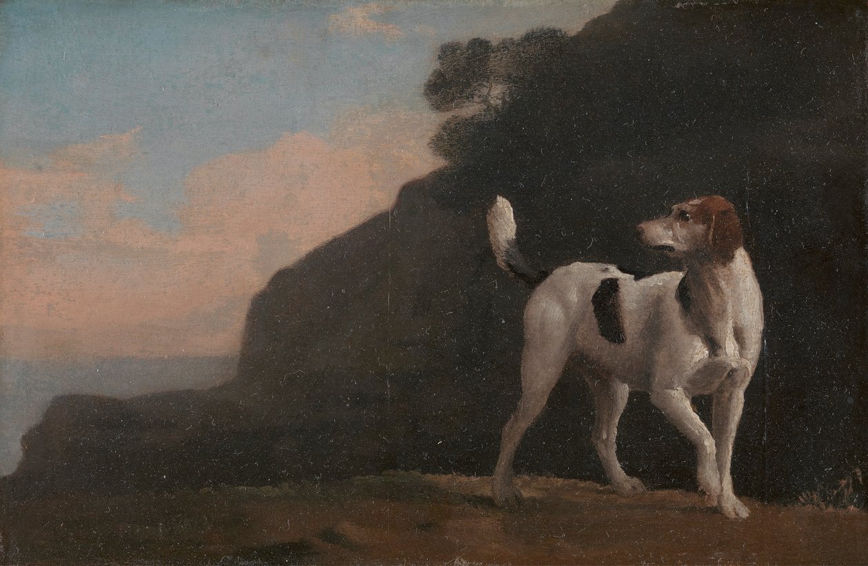 Foxhound od George Stubbs