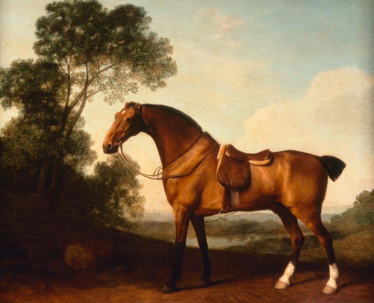 G. Stubbs, Lovec osedlaného zálivu od George Stubbs