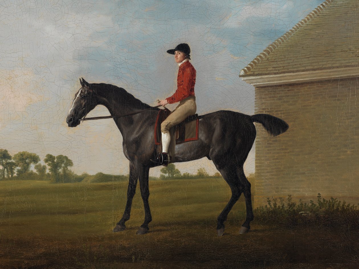 Gimcrack, s Johnem Prattem nahoře, na Newmarket Heath, 1795 od George Stubbs